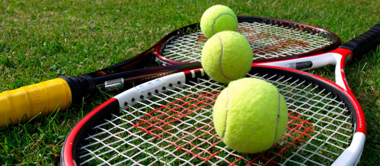 Как зарабатывать на ставках на теннис: 5 стратегий, 6 правил